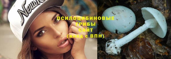 ГАЛЛЮЦИНОГЕННЫЕ ГРИБЫ Алексеевка